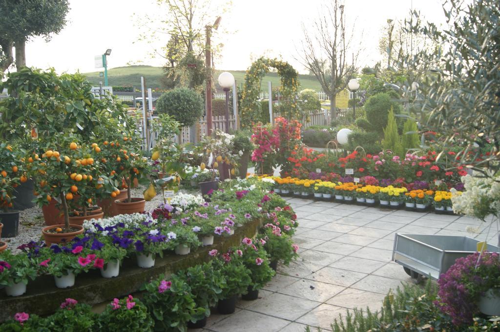 Residenza I Ciclamini Bed & Breakfast Rome Exterior photo